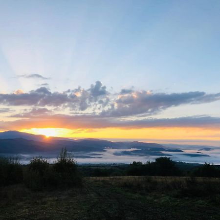 Еко Дім З Соломи Villa Solochyn Eksteriør billede