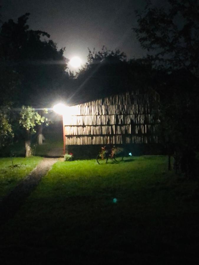 Еко Дім З Соломи Villa Solochyn Eksteriør billede