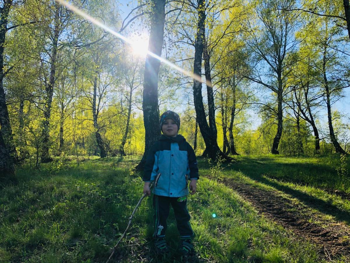 Еко Дім З Соломи Villa Solochyn Eksteriør billede
