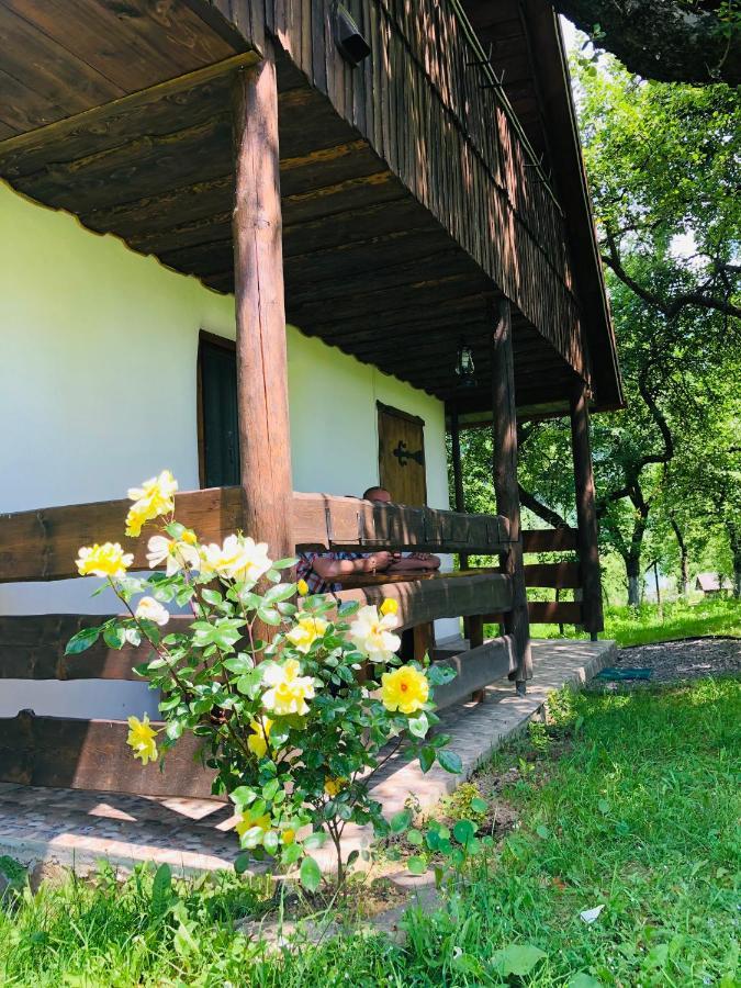 Еко Дім З Соломи Villa Solochyn Eksteriør billede