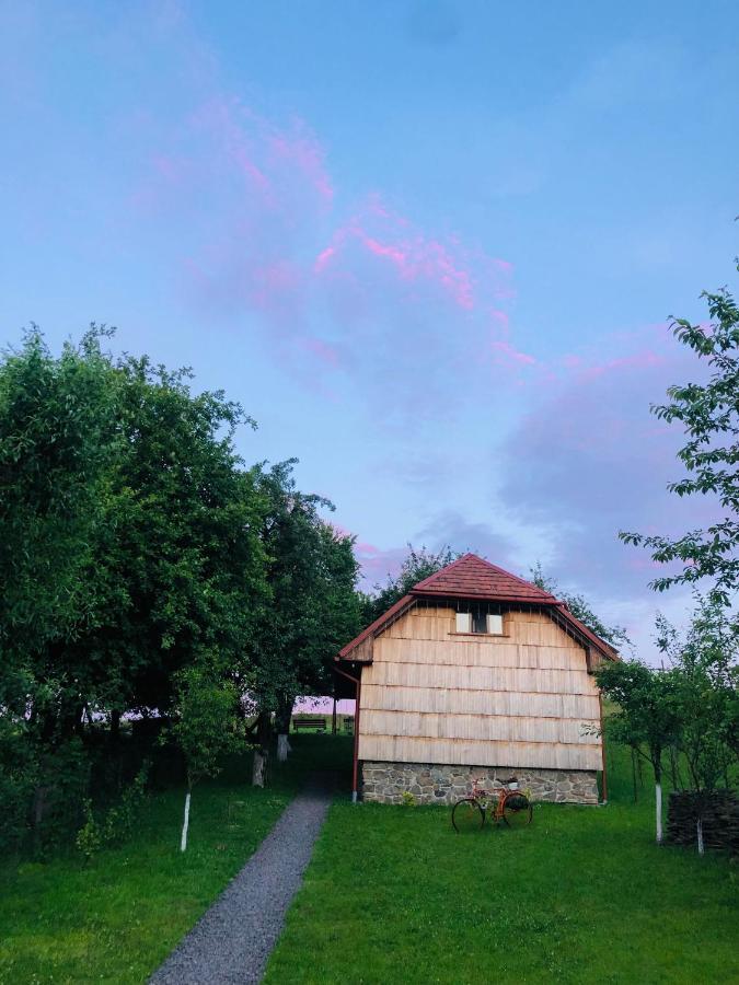 Еко Дім З Соломи Villa Solochyn Eksteriør billede