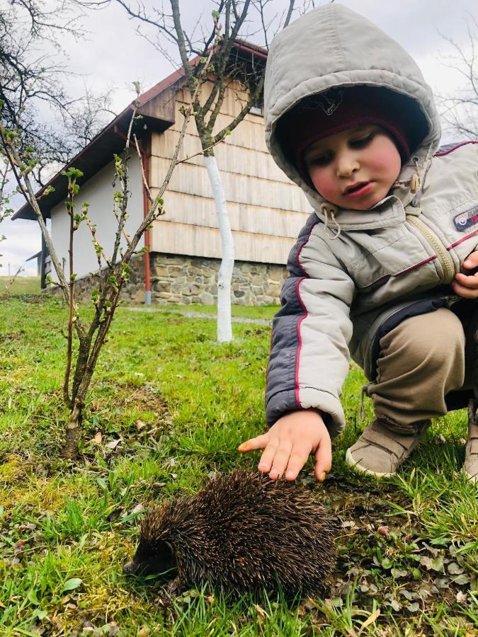 Еко Дім З Соломи Villa Solochyn Eksteriør billede