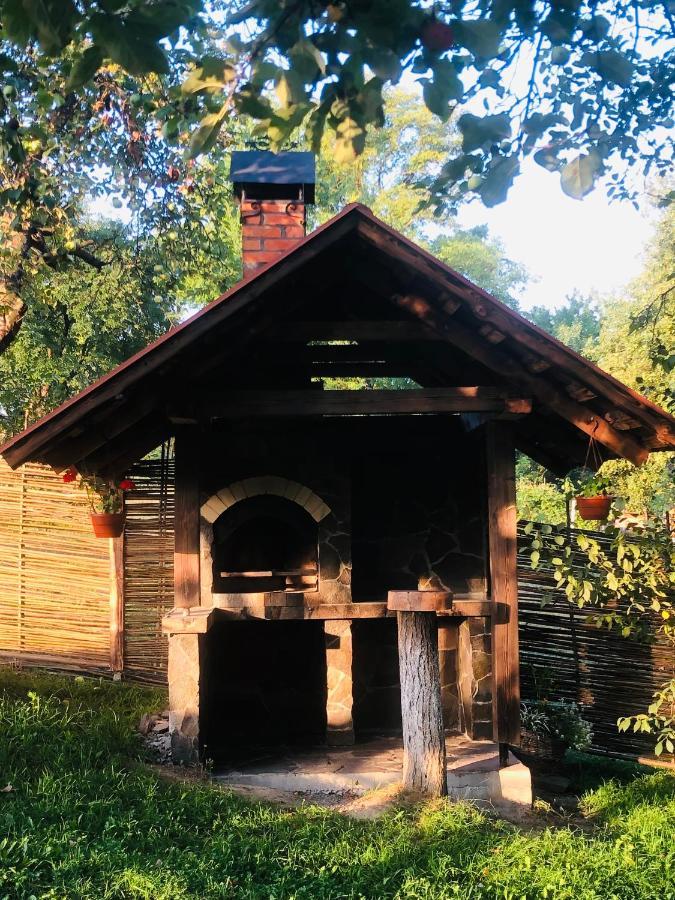 Еко Дім З Соломи Villa Solochyn Eksteriør billede