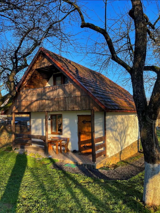 Еко Дім З Соломи Villa Solochyn Eksteriør billede