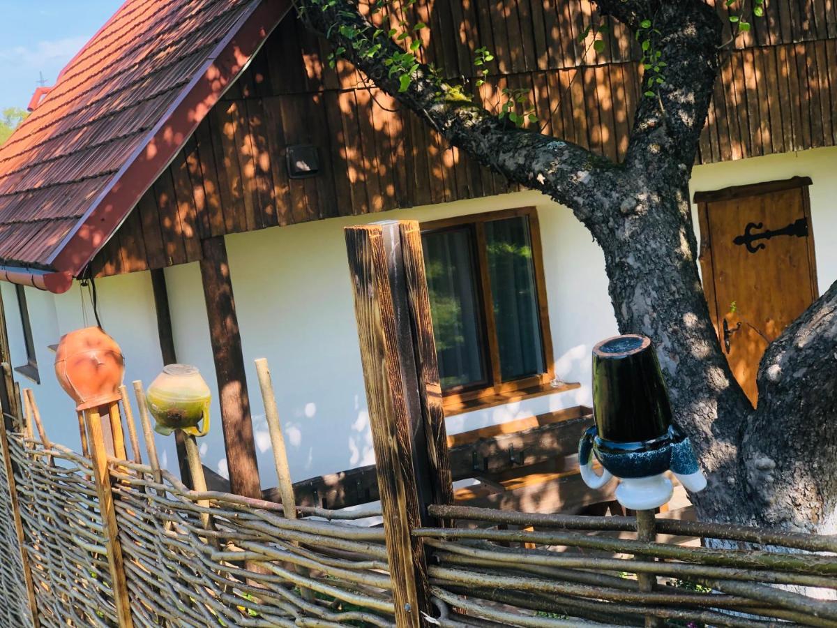 Еко Дім З Соломи Villa Solochyn Eksteriør billede