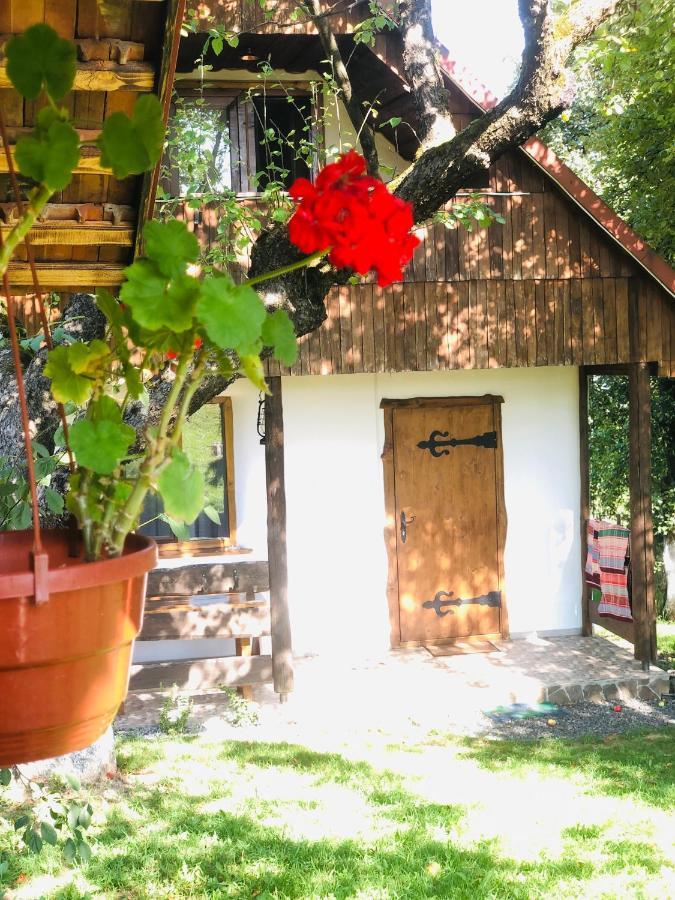 Еко Дім З Соломи Villa Solochyn Eksteriør billede