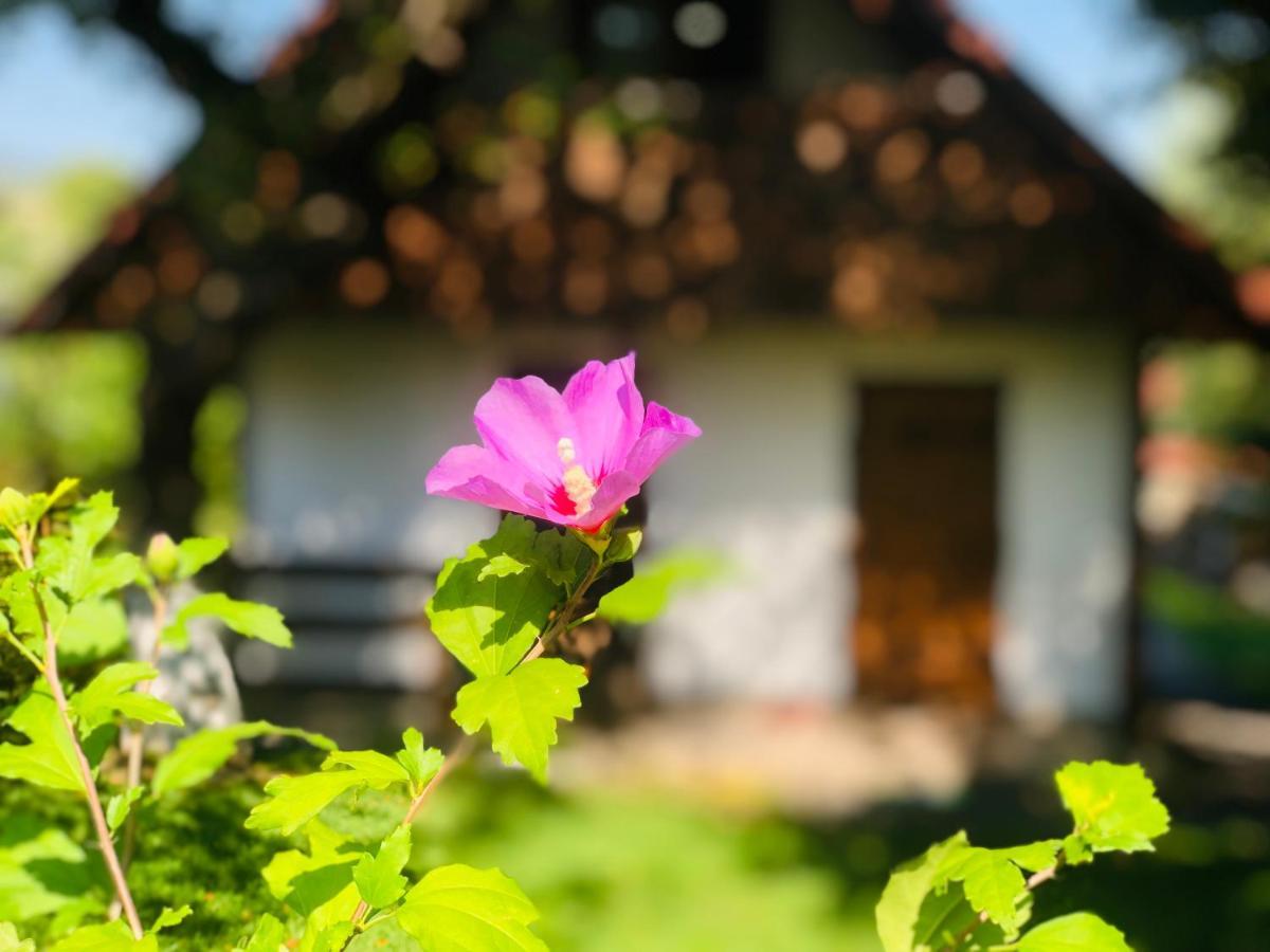 Еко Дім З Соломи Villa Solochyn Eksteriør billede
