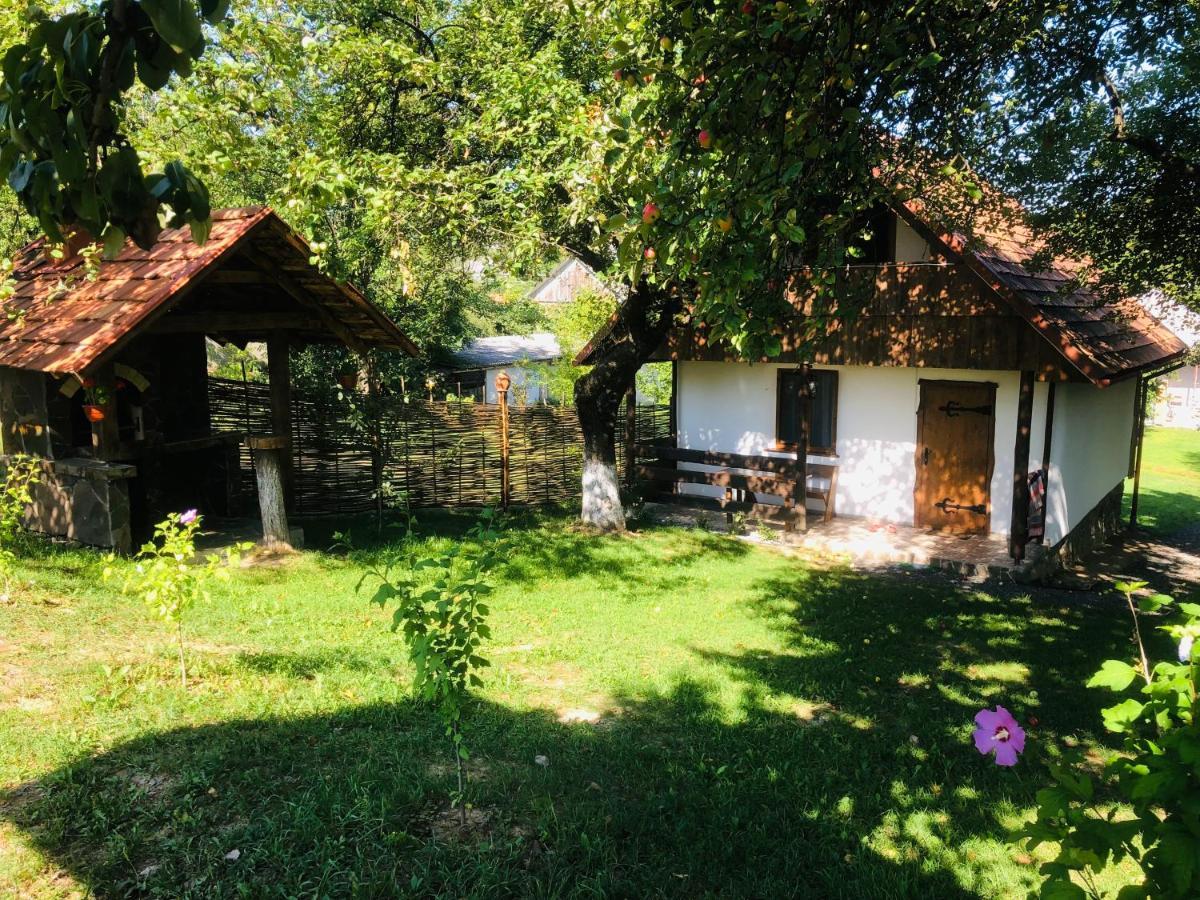 Еко Дім З Соломи Villa Solochyn Eksteriør billede