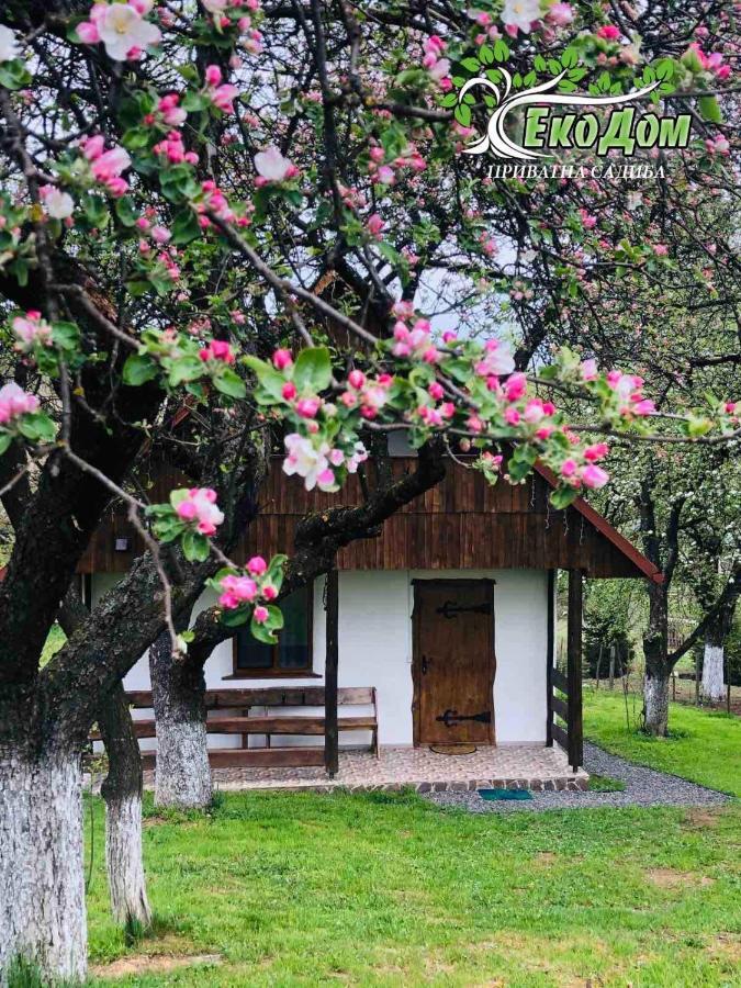 Еко Дім З Соломи Villa Solochyn Eksteriør billede