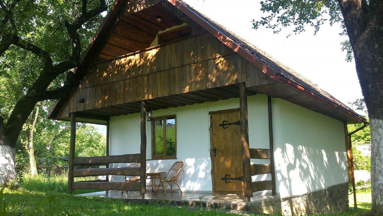 Еко Дім З Соломи Villa Solochyn Eksteriør billede