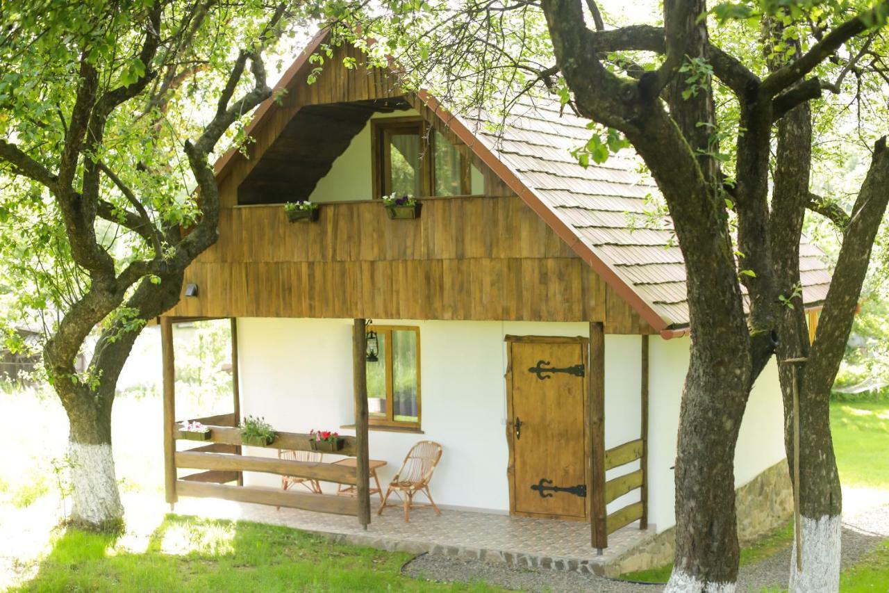 Еко Дім З Соломи Villa Solochyn Eksteriør billede
