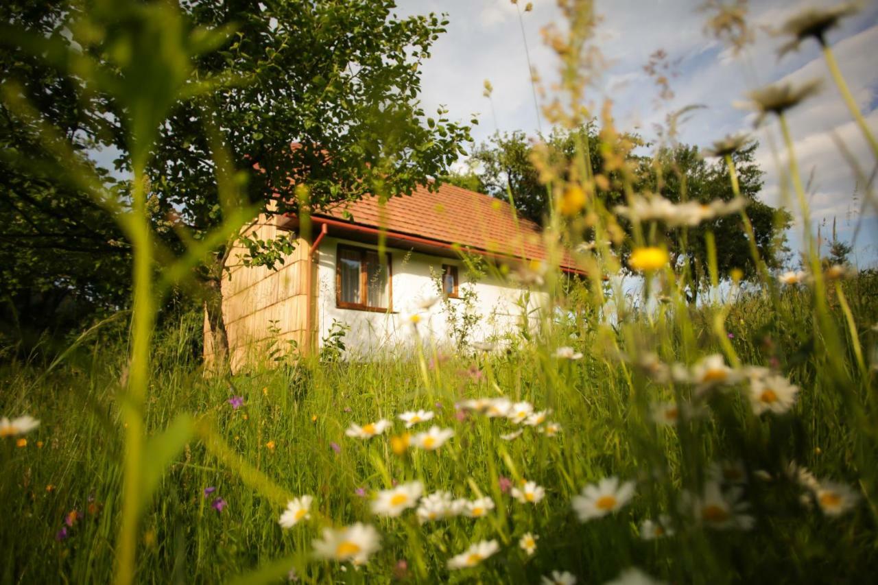 Еко Дім З Соломи Villa Solochyn Eksteriør billede