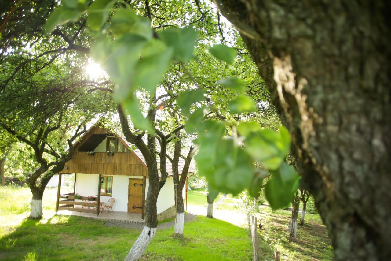 Еко Дім З Соломи Villa Solochyn Eksteriør billede