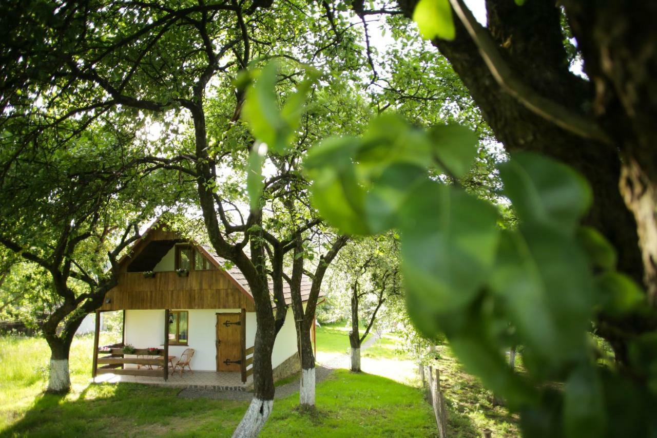 Еко Дім З Соломи Villa Solochyn Eksteriør billede