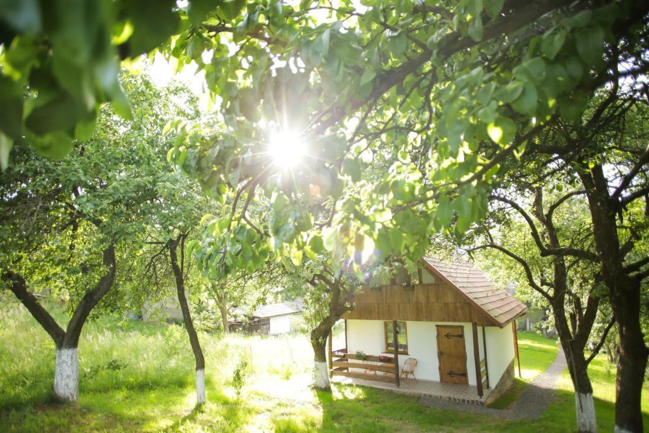 Еко Дім З Соломи Villa Solochyn Eksteriør billede