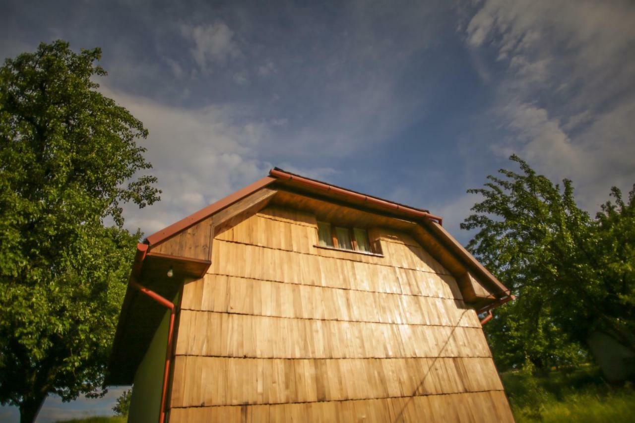 Еко Дім З Соломи Villa Solochyn Eksteriør billede