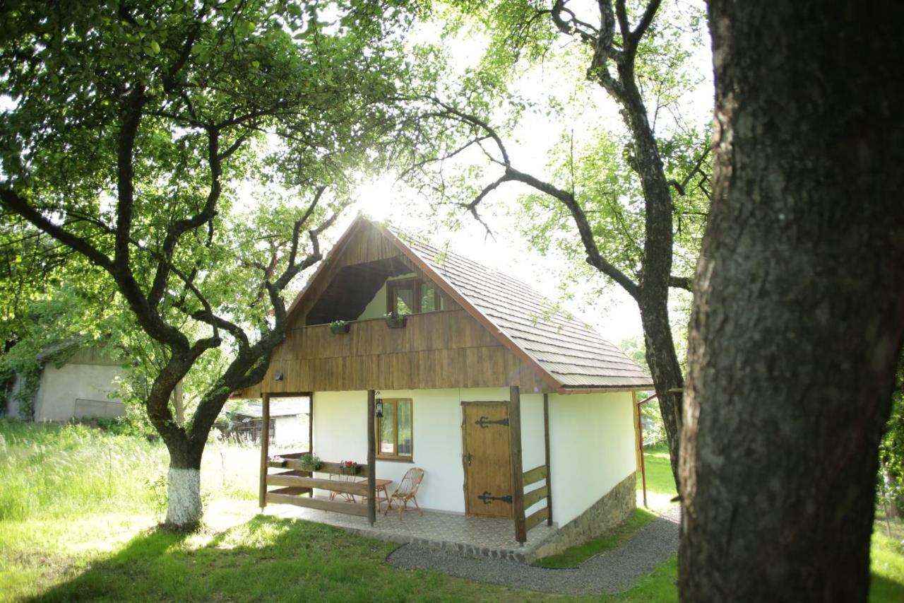 Еко Дім З Соломи Villa Solochyn Eksteriør billede