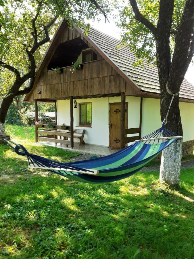 Еко Дім З Соломи Villa Solochyn Eksteriør billede